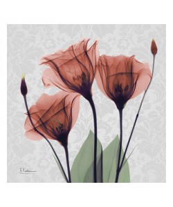 Albert Koetsier, FLOWERS IN RED III