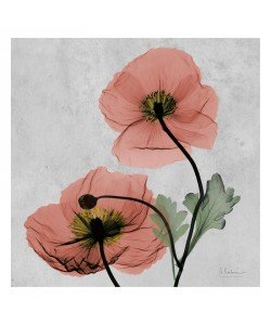 Albert Koetsier, FLOWERS IN RED V