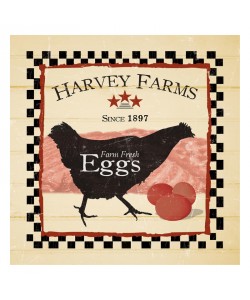Diane Stimson, HARVEY FARMS EGGS III