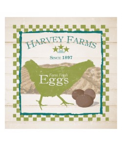 Diane Stimson, HARVEY FARMS EGGS I