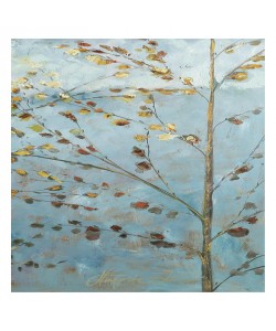 Kruk, ASPEN I