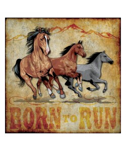 Melody Hogan, WILD AND FREE I