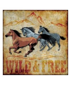 Melody Hogan, WILD AND FREE II