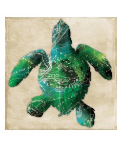 Jace Grey, MAP GREEN TURTLE