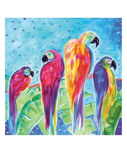 Anne Ormsby, PARROT PARADE V