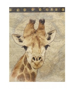 Jace Grey, MAP WITH GIRAFFE II
