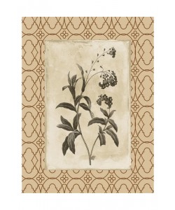 Jace Grey, EARTHY FLORAL BORDERED IV