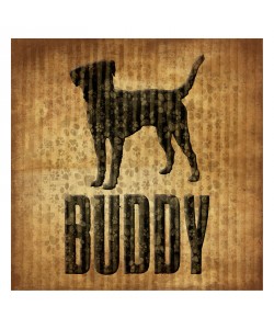 Jace Grey, BUDDY I