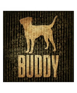 Jace Grey, BUDDY II