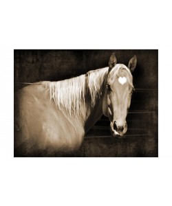 Suzanne Foschino, HEART HORSE I