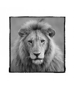 F+S Parker, CATASTIC III