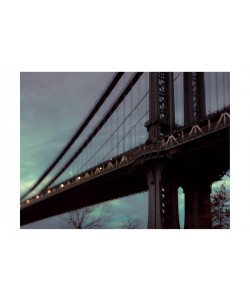 Tracey Telik, MANHATTAN BRIDGE II