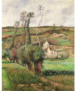Camille Pissarro, Die Kohlfelder in Pontoise. 1882