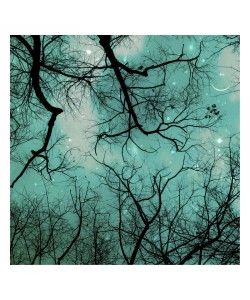 Tracey Telik, HEAVEN BLUE