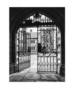 Sandro De Carvalho, ARCHED ENTRY V
