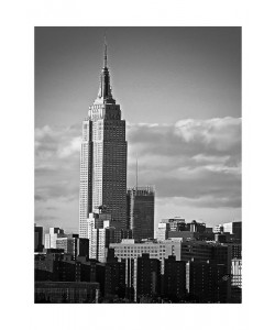 Sandro De Carvalho, EMPIRE STATE VI