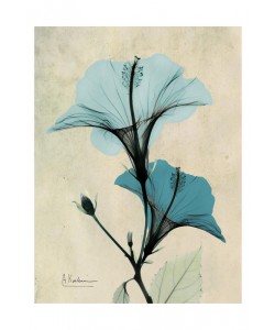 Albert Koetsier, BLUE DARK BRIGHT I