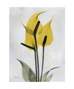 Albert Koetsier, DUO IN YELLOW I