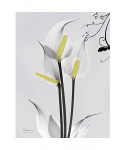 Albert Koetsier, DUO IN WHITE I