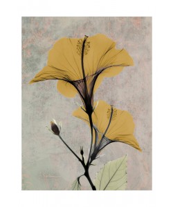 Albert Koetsier, YELLOW DARK BRIGHT I