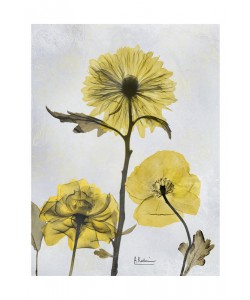 Albert Koetsier, DUO WITH YELLOW II