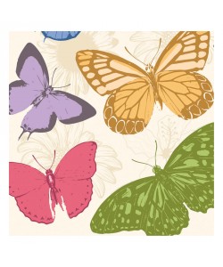 Jace Grey, COLORFUL BUTTERFLIES II