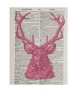 Tina Carlson, STAG RED