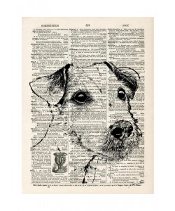 Tina Carlson, THE NEWSPAPER II