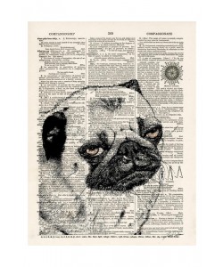 Tina Carlson, THE NEWSPAPER VI