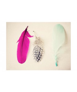 Ashley Davis, MAGENTA FEATHERS