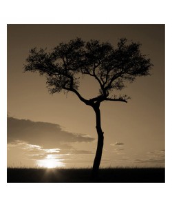 F+S Parker, SUNDOWN