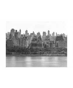 Sandro De Carvalho, NEW YORK CITY II