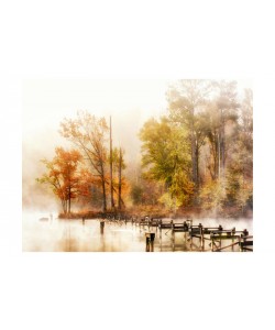 Danny Head, MORNING II