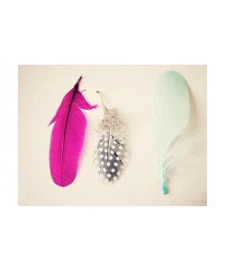 Ashley Davis, MAGENTA FEATHERS