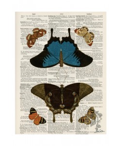 Tina Carlson, BUTTERFLY PLANTS I
