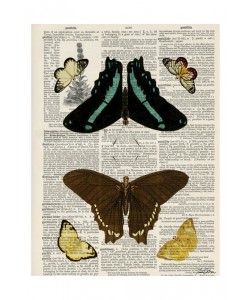 Tina Carlson, BUTTERFLY PLANTS II