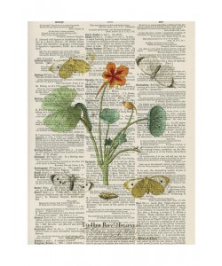 Tina Carlson, ROYAL FLOWER III
