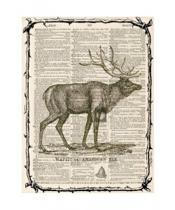 Tina Carlson, ELK I