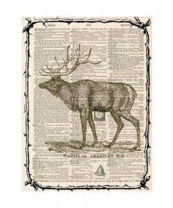 Tina Carlson, ELK II