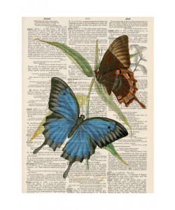 Tina Carlson, BUTTERFLY PLANTS IV