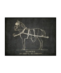 Tina Carlson, HORSE SKETCH II