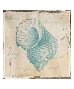 Jace Grey, SHELL MINT I