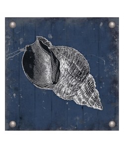 Jace Grey, SILVER SHELLS I