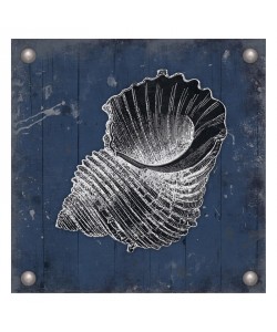 Jace Grey, SILVER SHELLS II
