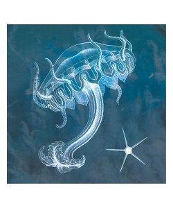 Tina Carlson, JELLY IN BLUE I