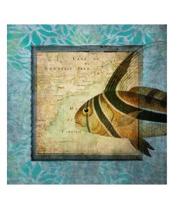 Tina Carlson, ROOSTER FISH MAP II