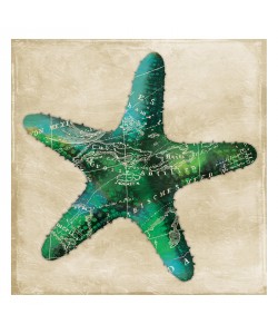 Jace Grey, MAP GREEN STARFISH