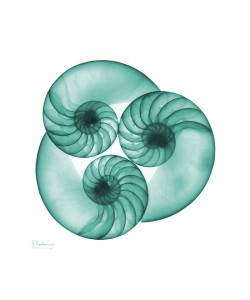 Albert Koetsier, NAUTILUS TRIO I