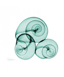 Albert Koetsier, NAUTILUS TRIO III