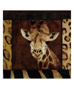 Jace Grey, BORDERED GIRAFFE